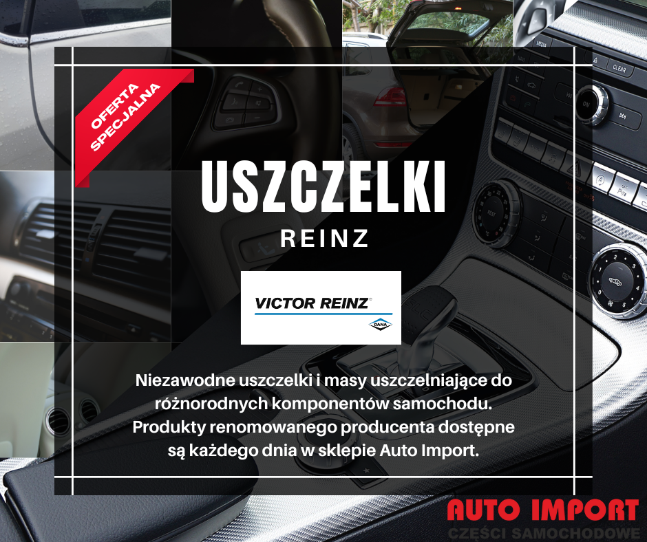 Uszczelki Reinz